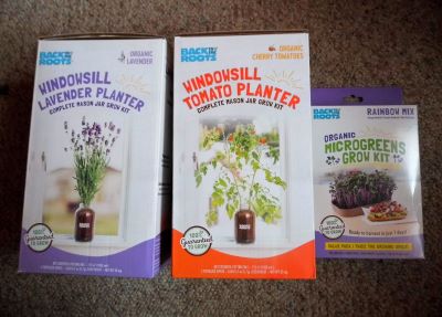windowsill grow kits