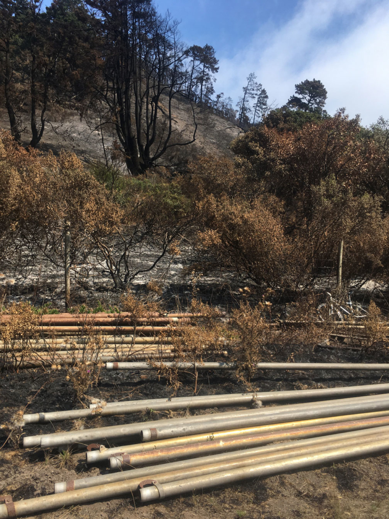 Burned forest and irrigation pipes
