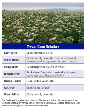 7-year crop rotation