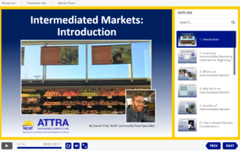 Intermediated Markets Intro