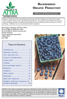organic blueberry production