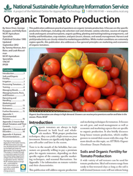 organic tomato production