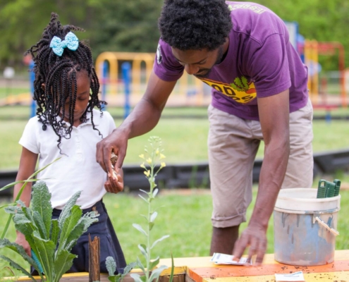 Farm to School