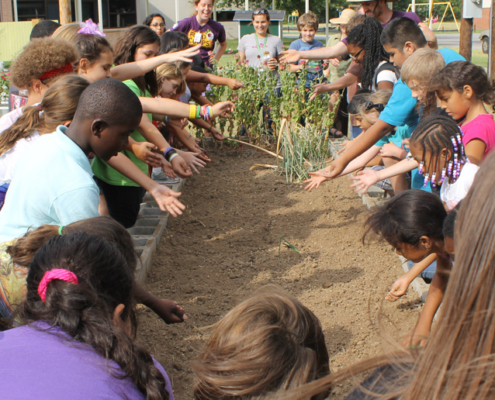 Kids planting