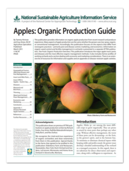 Best Practices for Growing Organic Apples in the Northeast - Rodale  Institute