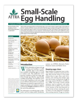 Fresh Egg Cleaning Grading Packaging Line