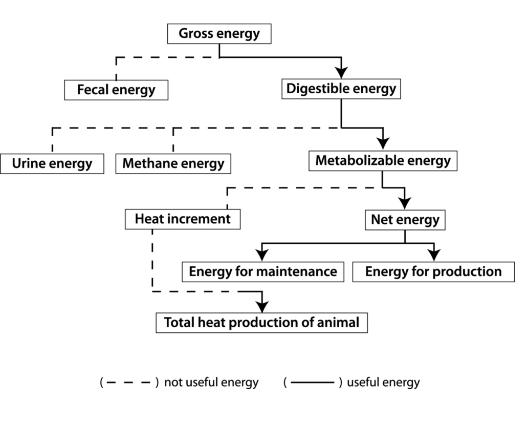 Energy Partitioning diagram