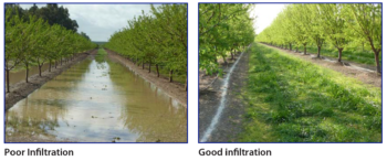 Comparison of a vineyard with poor water infiltration to one with good water infiltration