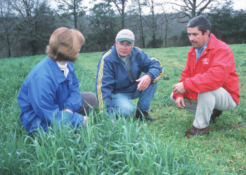 La conservacionista del distrito Rhonda Foster y el especialista en manejo de pastizales Ralph Harris hablan sobre las rotaciones de pastoreo intensivo  