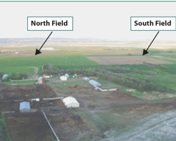 Miller Farm North y South Fields para la comparación de cultivos de cobertura