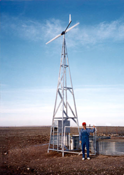 Person standing next to windmill