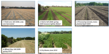 Cinco fotos que comparan varias etapas de la rotación de cultivos.