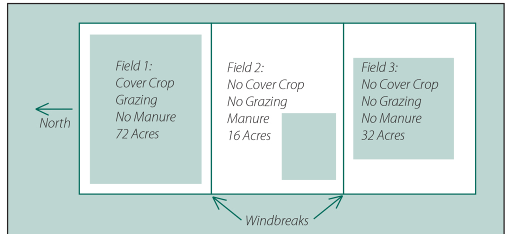 Figure 1. Cover Crop Field Trial Layout, Richter Farms, 2007