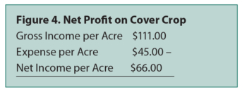 Figura 4 Beneficio neto del cultivo de cobertura