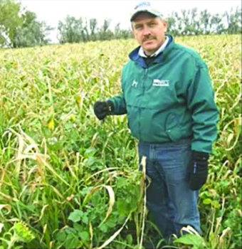 Jay Fuhrer of NRCS with cover crop cocktail ready for grazing, on October 1, 2007