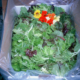 a box of fresh lettuce